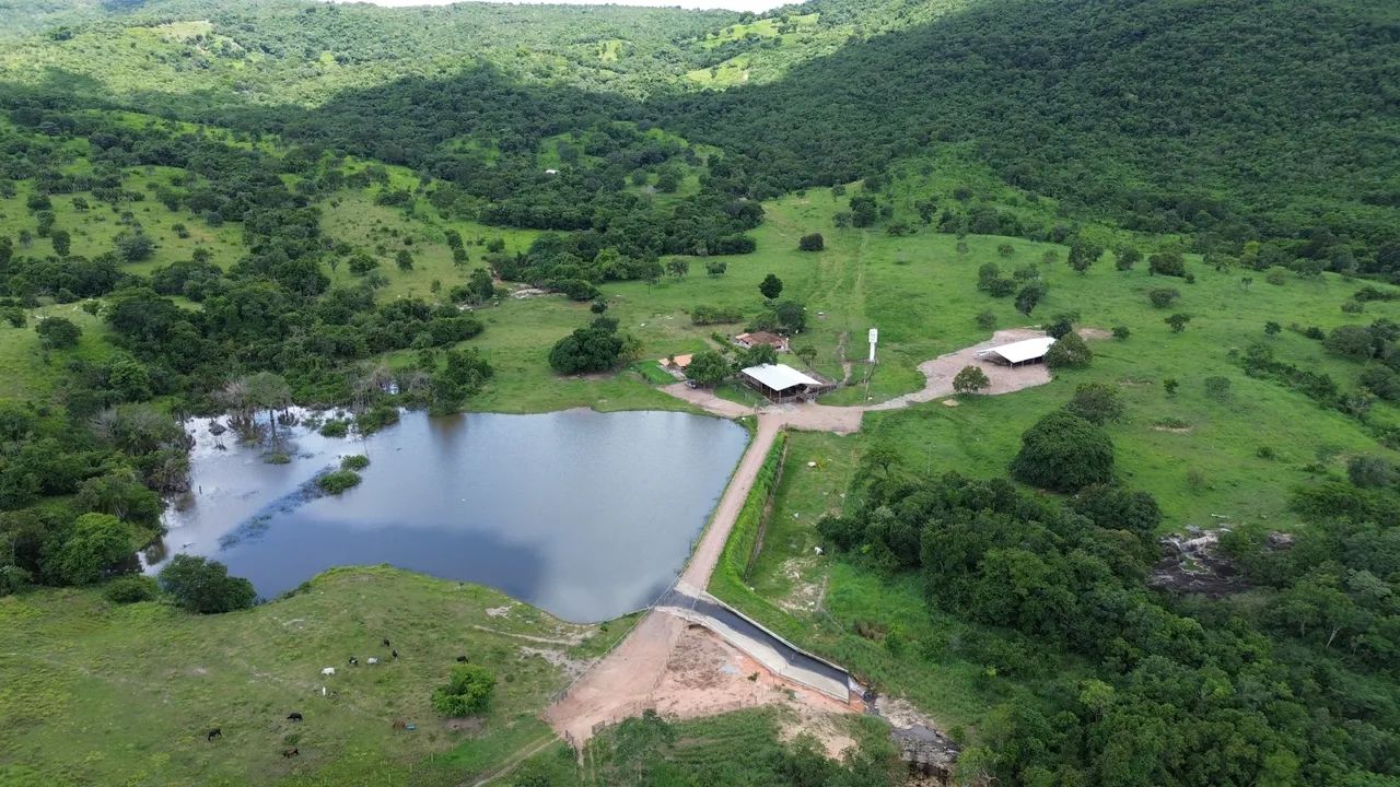 Vendo Fazenda 