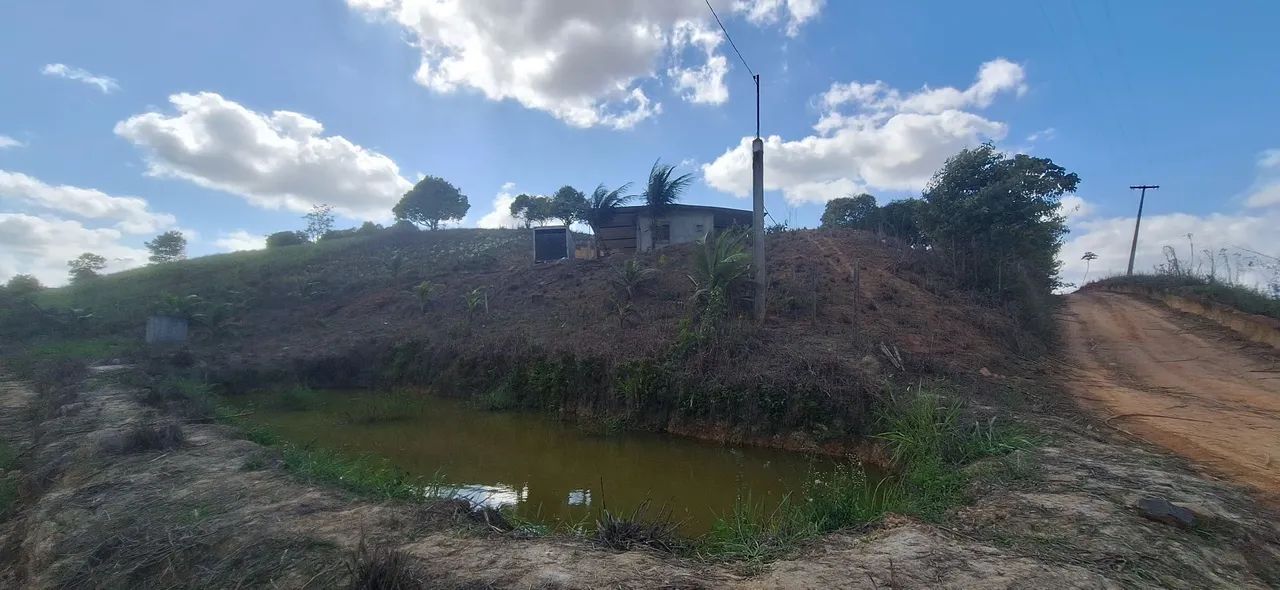 Sítio com casa em área verde - Foto 5