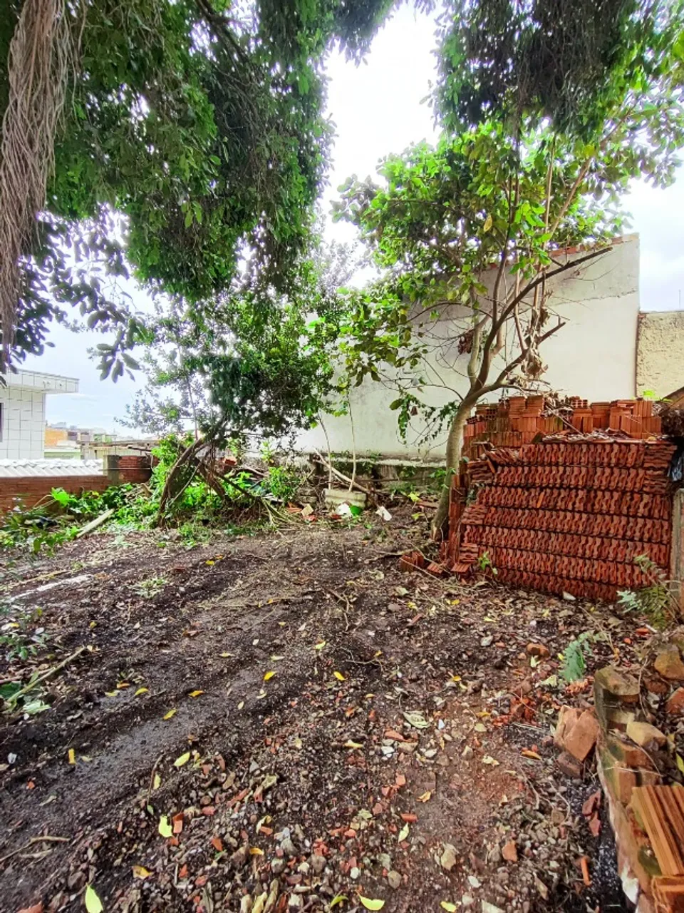 Terreno em Sao Caetano