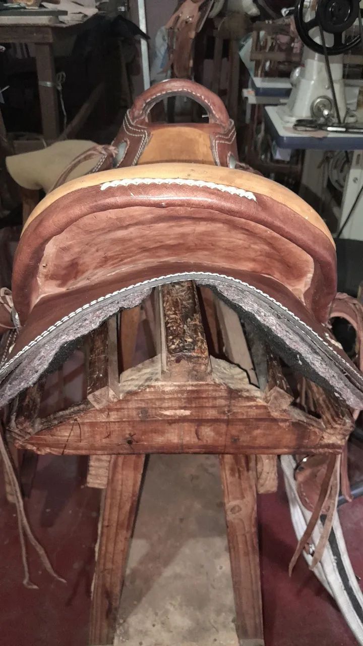 Sela australiana  - Foto 2