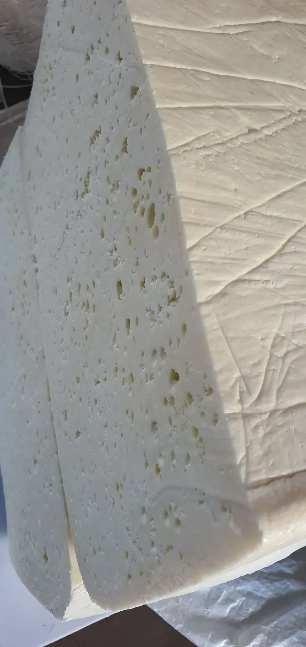 Queijo coalho