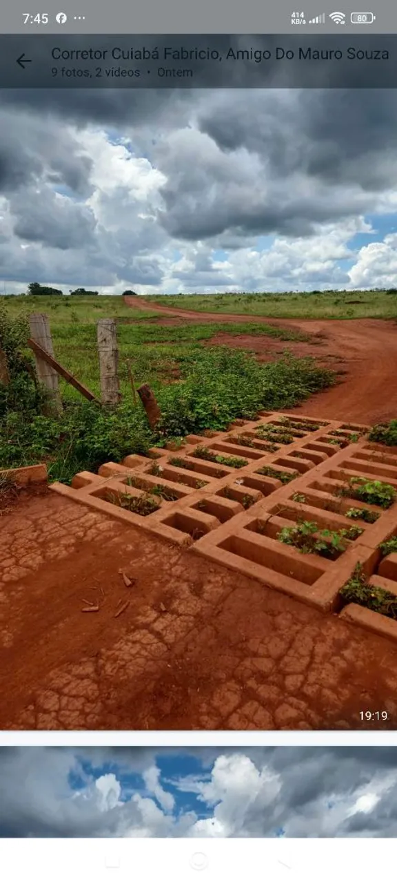 Fazenda de arrendamento 1.500hec em Itiquira MT.