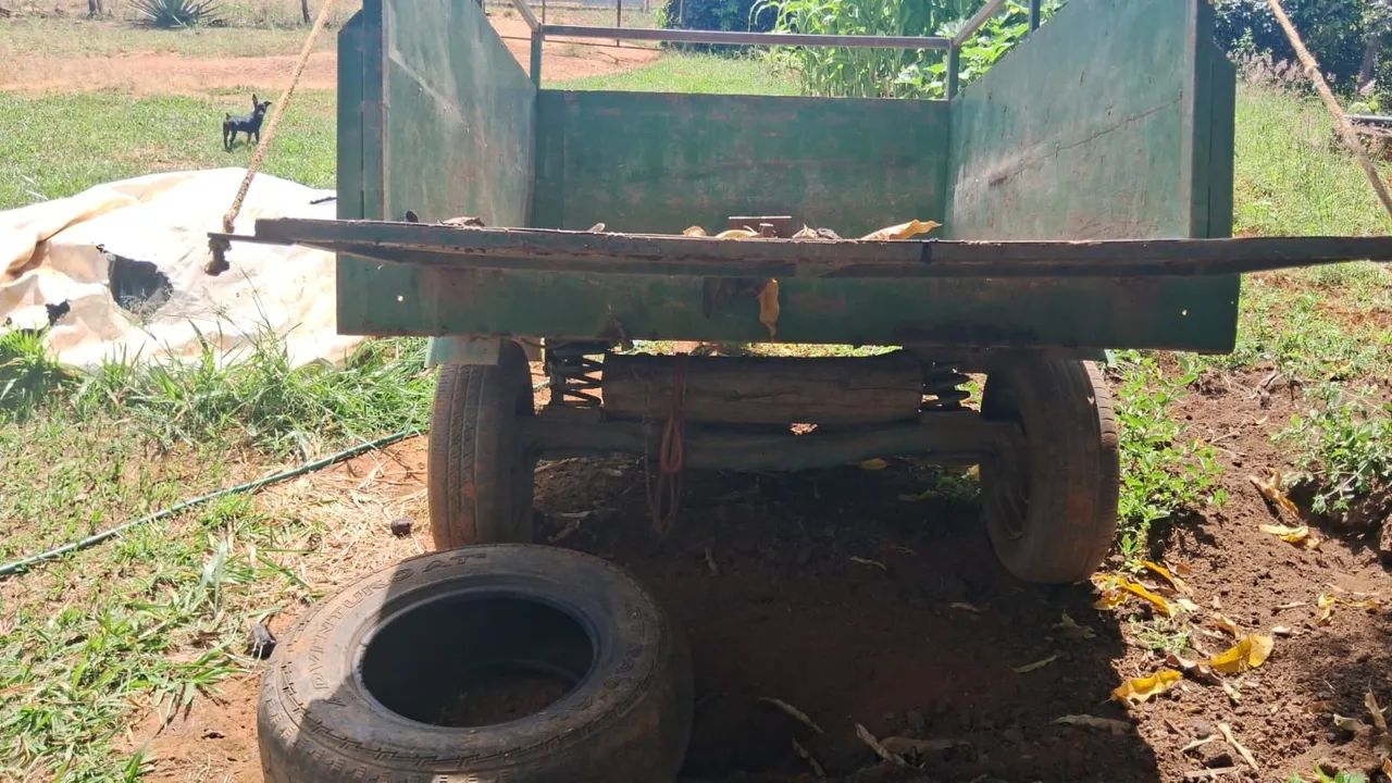 Trator/Enxada Rotativa ea carretinha Agrícola - Foto 5