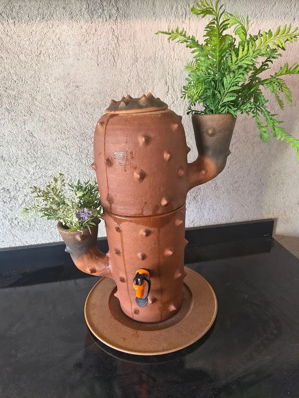 Cactus-shaped clay filter64288282697603120