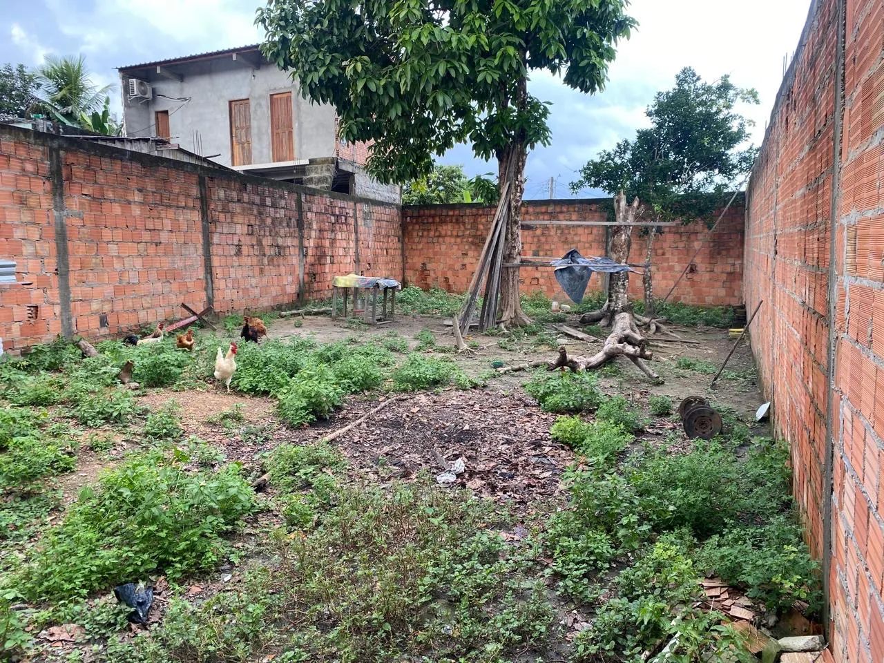 Foto - Manaus - Novo Aleixo