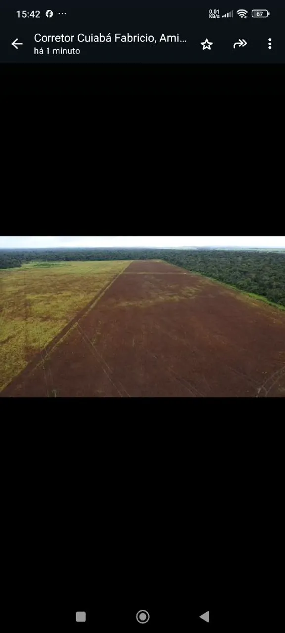 Fazenda de arrendamento 1.000hec em Vila Rica MT.