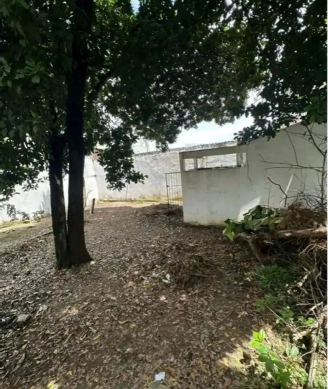 PARQUE DEZ 3 QUARTOS - Foto 4