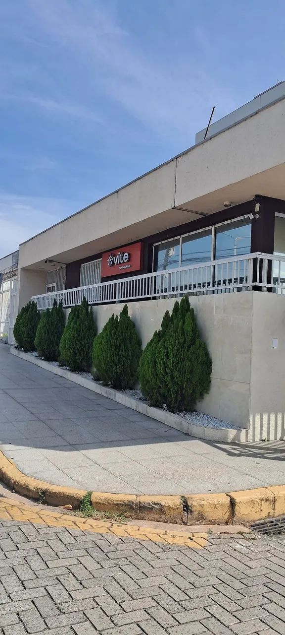 Foto - São Luís - Angelim