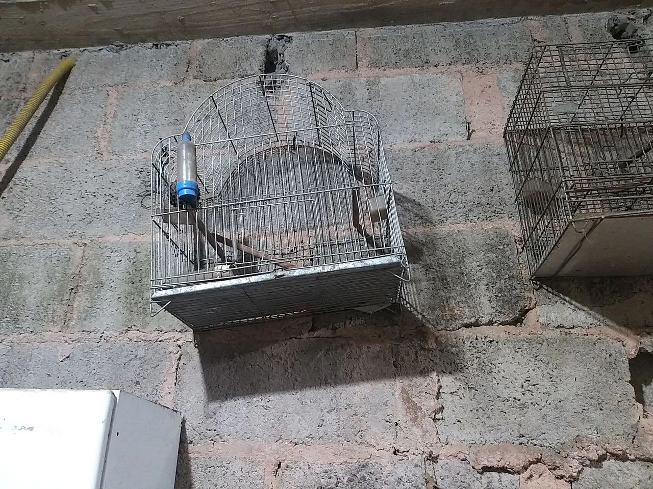 Gaiolas diversas - Foto 4