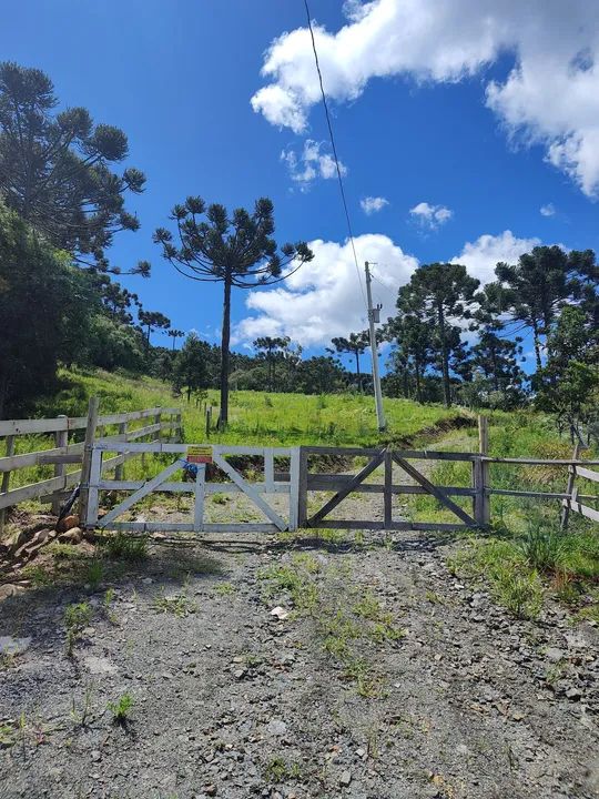 Lindo sítio em Urubici SC  - Foto 4