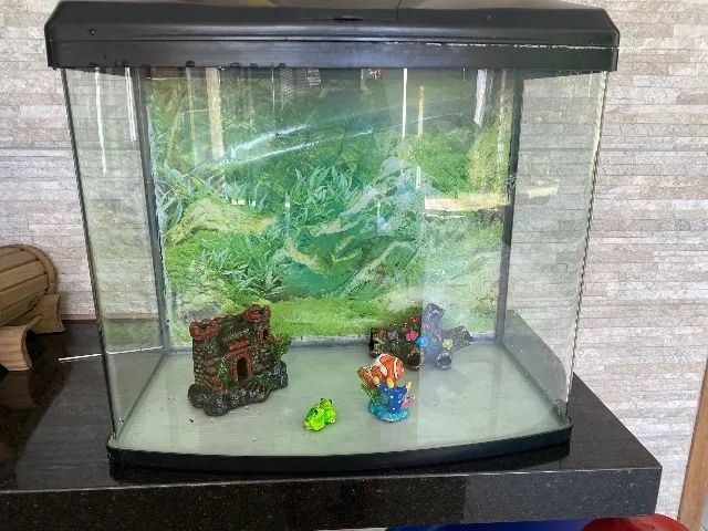 Aquário 80 litros