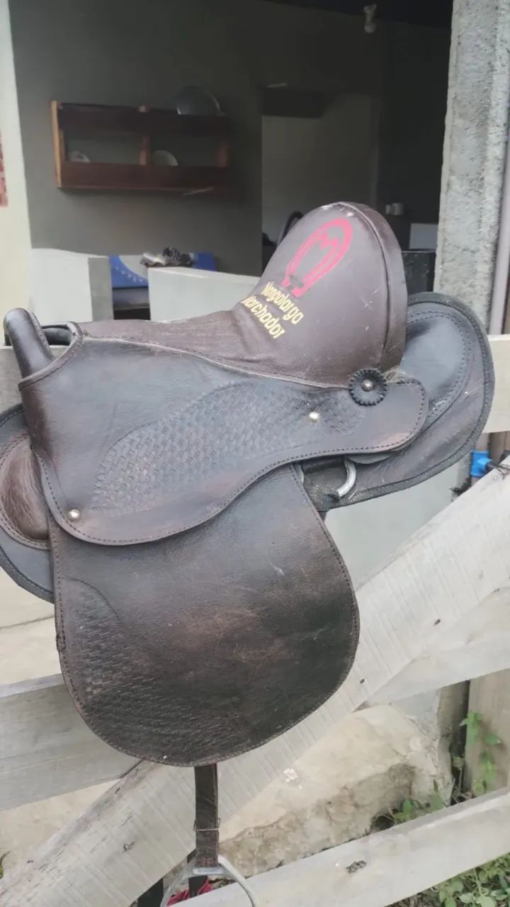 Sela australiana  - Foto 4