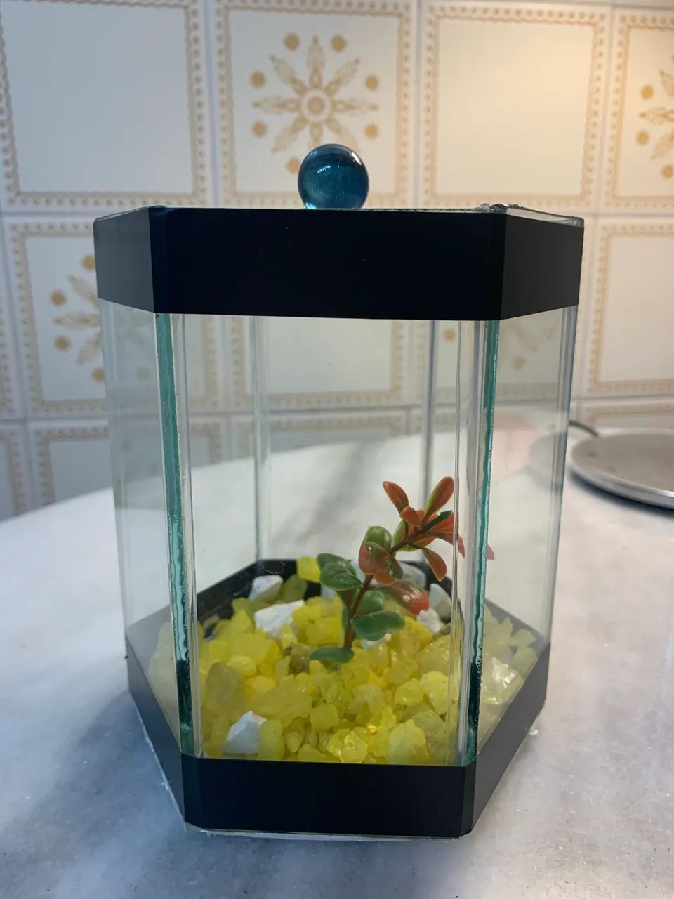 Aquário para peixe Betta - Sextavada - Foto 2