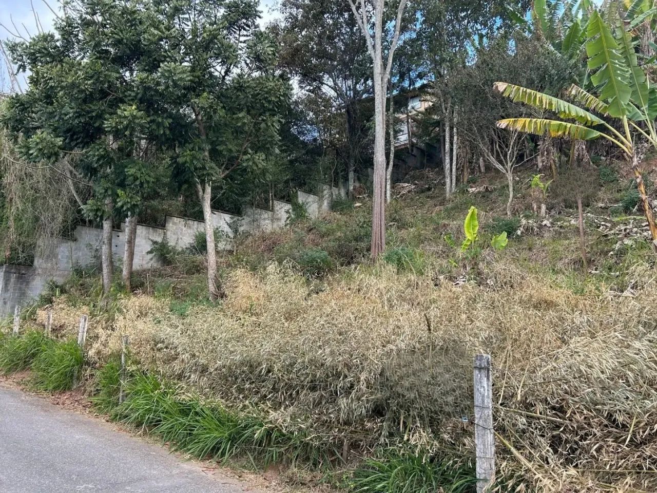 Terreno amplo à venda, 720 m² - Foto 2