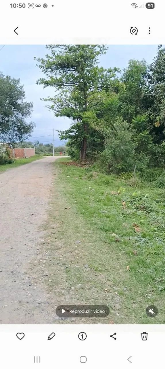 Terreno  - Foto 4