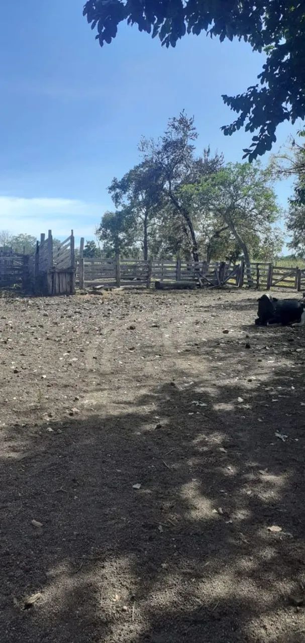 Fazenda - Foto 2