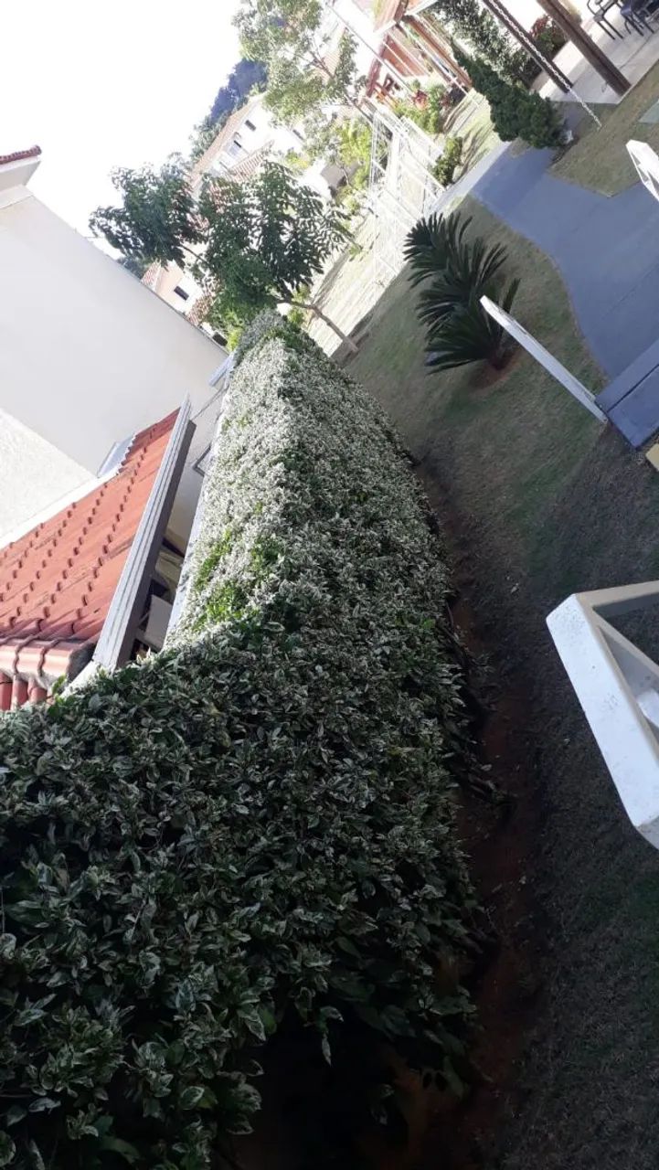 Roçagem e paisagismo  - Foto 5