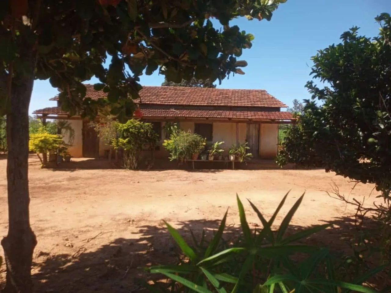 Fazenda para Venda em Paranã, 2 dormitórios, 2 banheiros - Foto 3