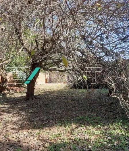 terreno - Jardim Conceição (Sousas) - Campinas
