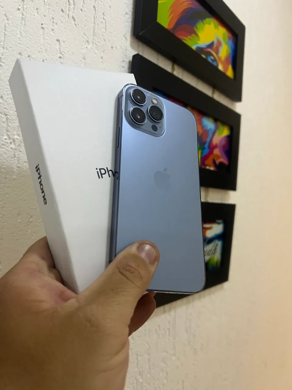 iPhone 13 Pro Max (256 gigas )
