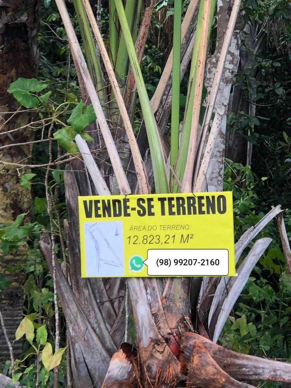 VENDO TERRENO COM 12.823M² EM BARREIRINHAS, OPORTUNIDADE ÚNICA AS MARGENS DO RIO. - Foto 2