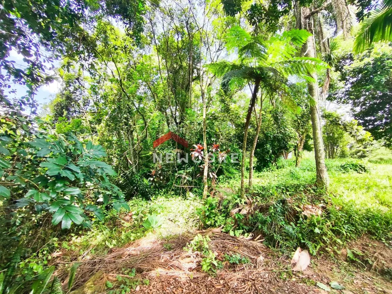 Lote em Rua Antônio Dal Farra - Vila São Jorge - Siderópolis/SC - Foto 5