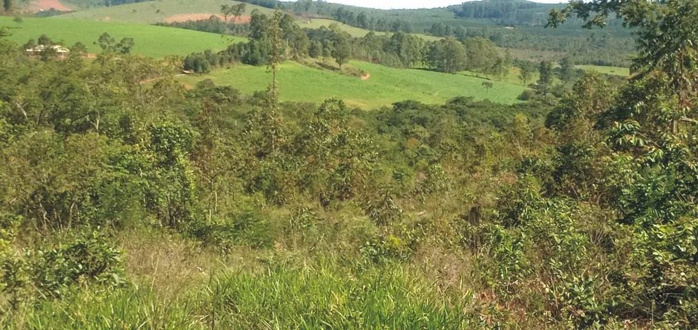 Terreno com 20.000 m² em Desterro de Entre Rios  - Foto 4