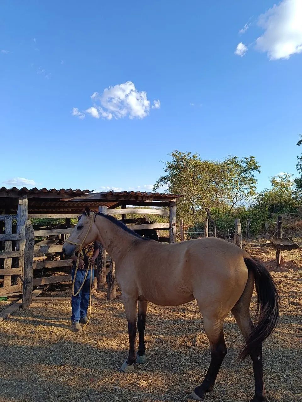 vendo ou troco - Foto 2