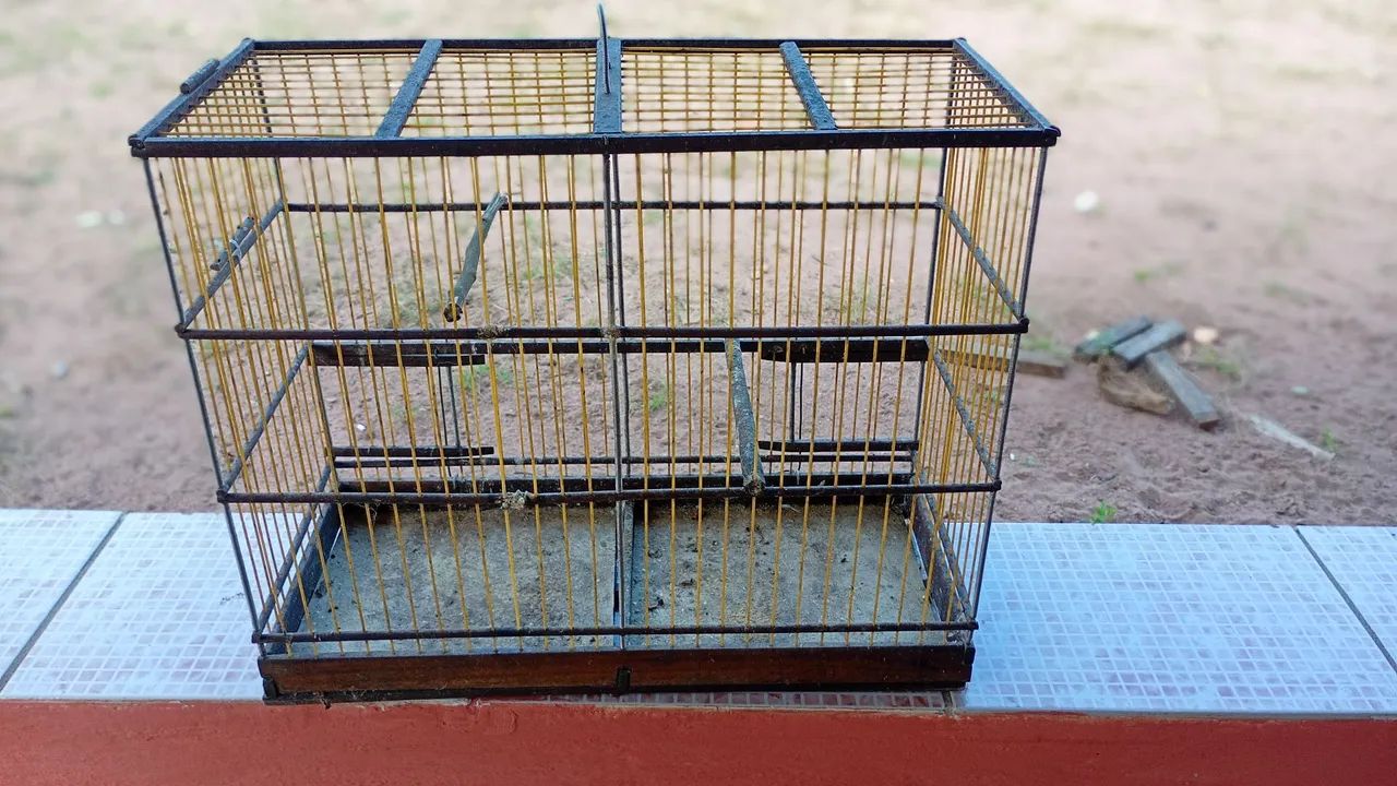 Gaiolas pra vender . - Foto 4