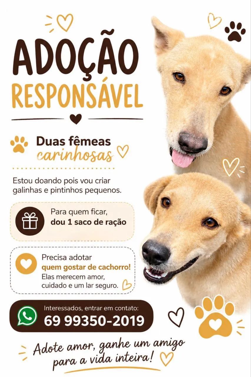 Doação de cachorro 