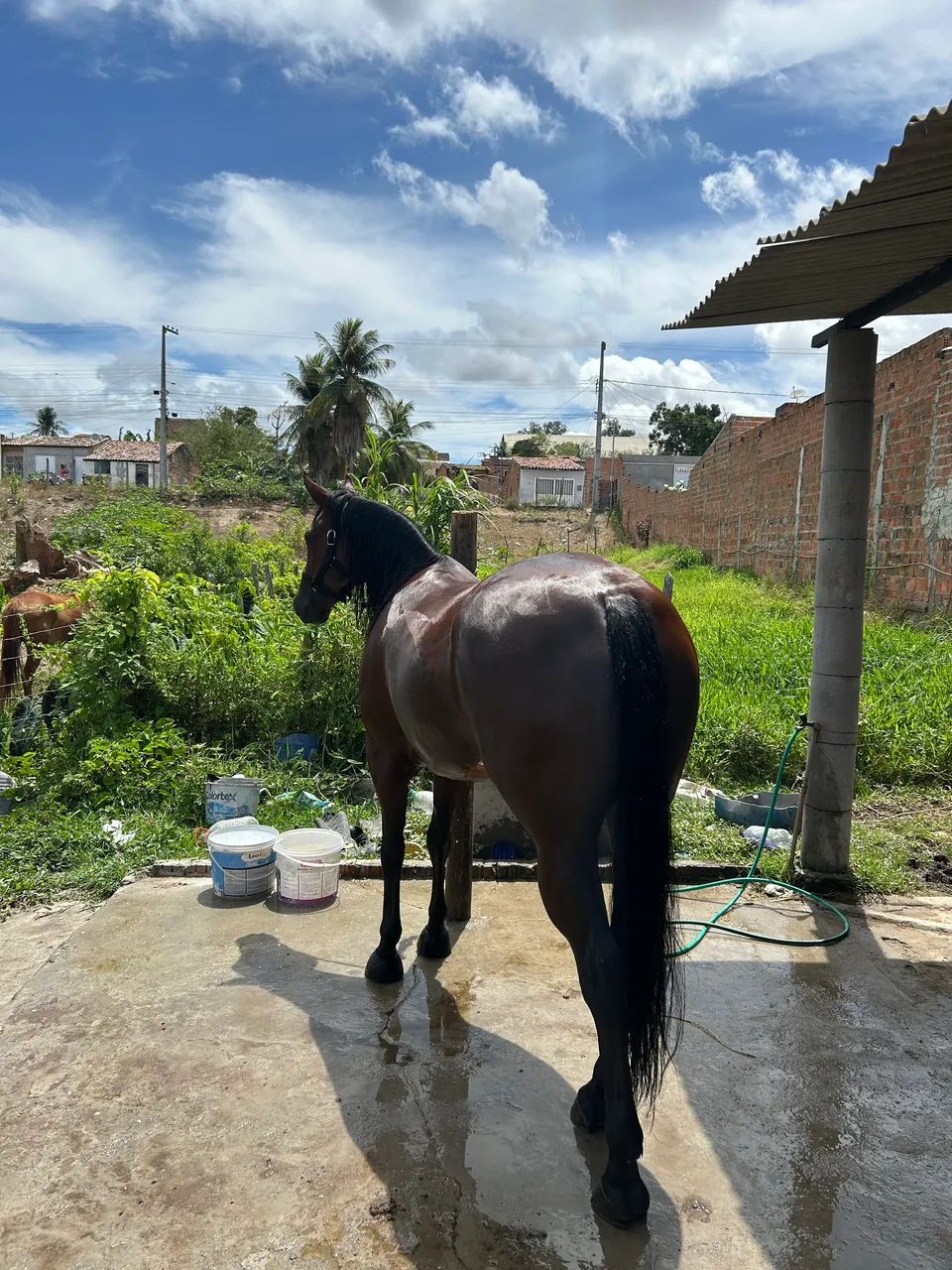 ? POTRA QM DISPONíVEL?    - Foto 4