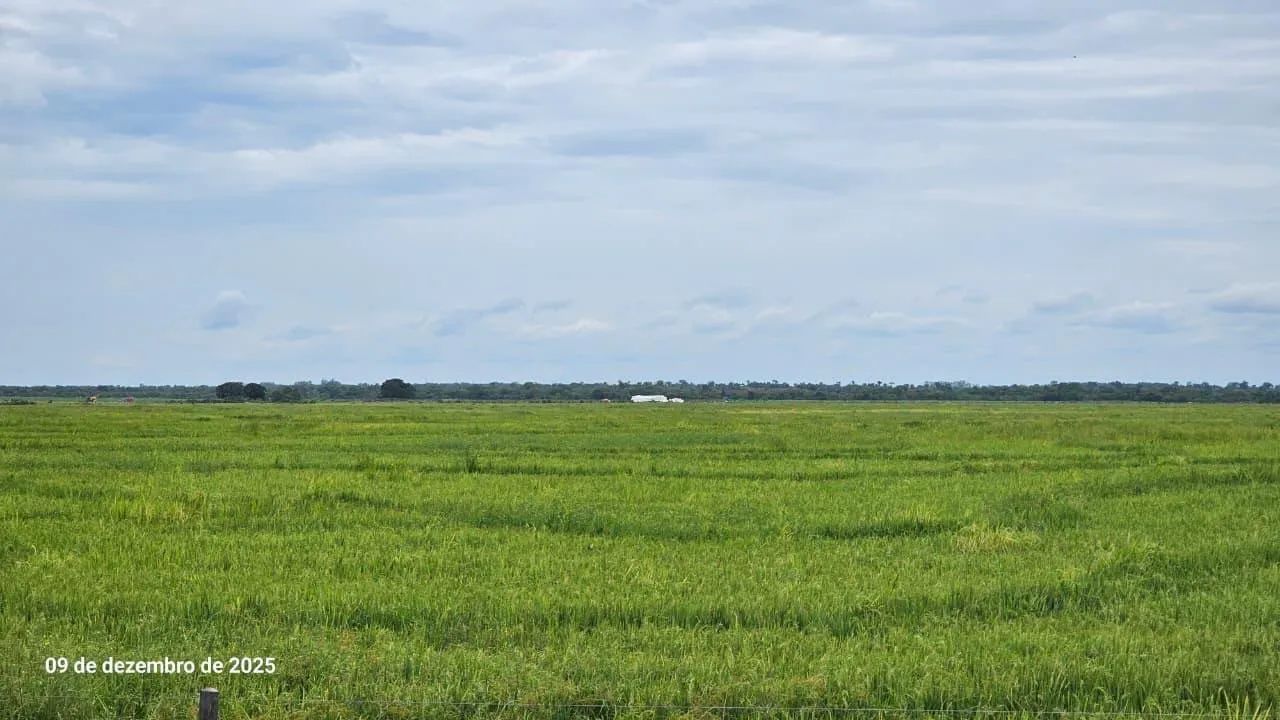 Fazenda São João da Aliança  - Foto 5