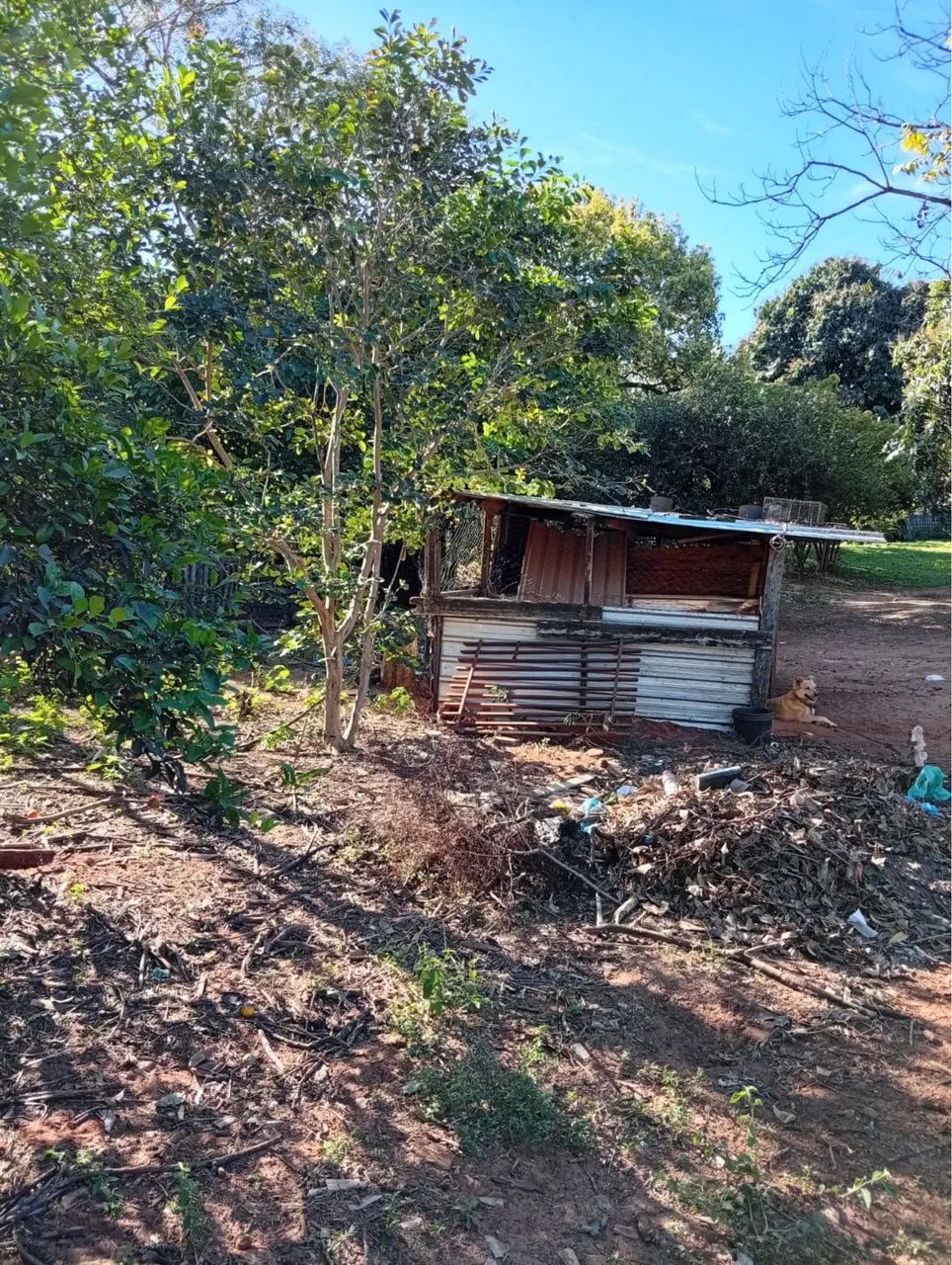Chácara vila rural Nossa Senhora Das Graças  - Foto 4