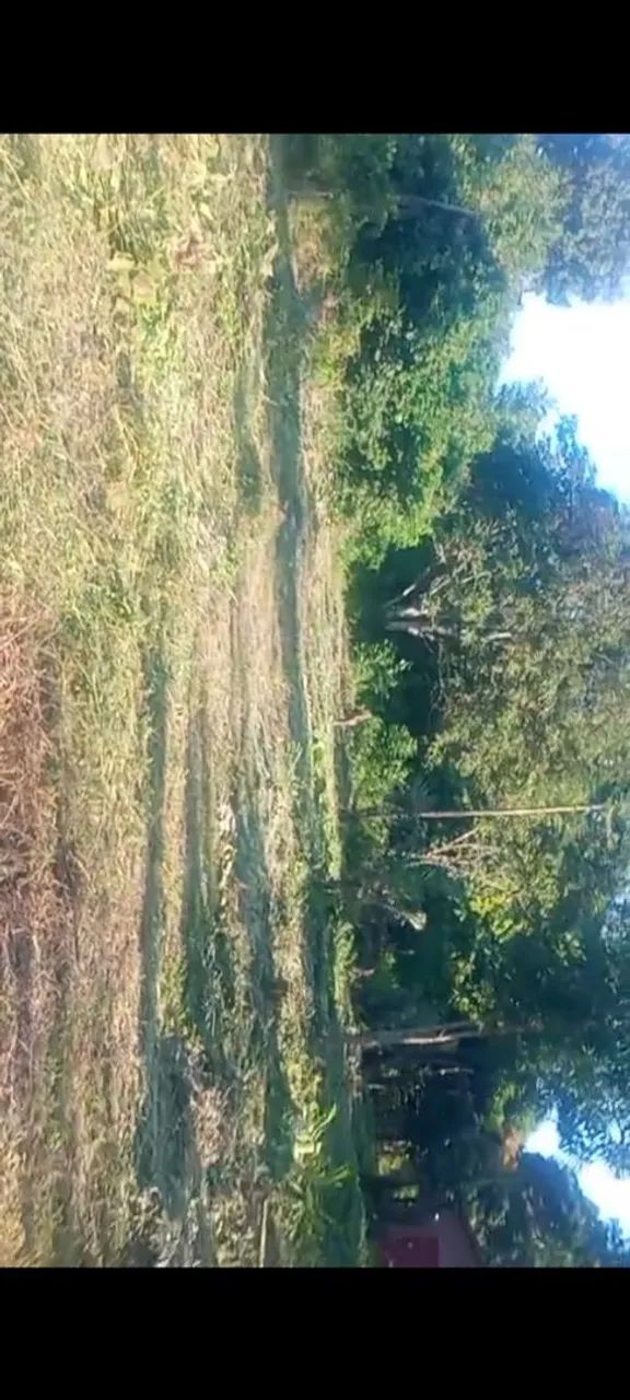 Terreno na ilha de Santana  - Foto 2