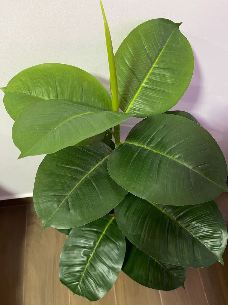 Ficus Lyrata / Planta Artificial  - Foto 2