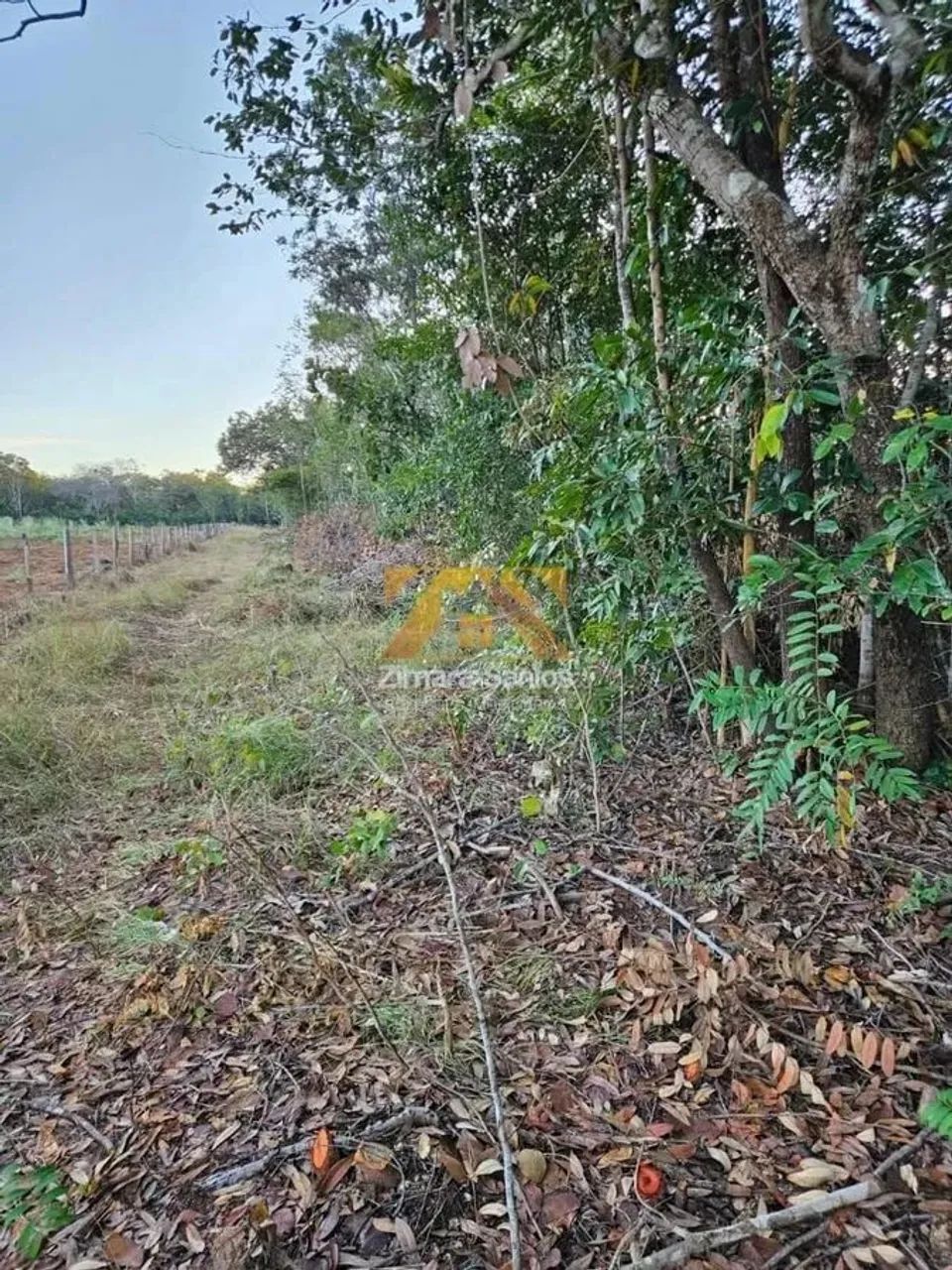 Chácara 2,5 Alqueires - Zona Rural - Próxima a Palmas - Porto Nacional/TO - Foto 11