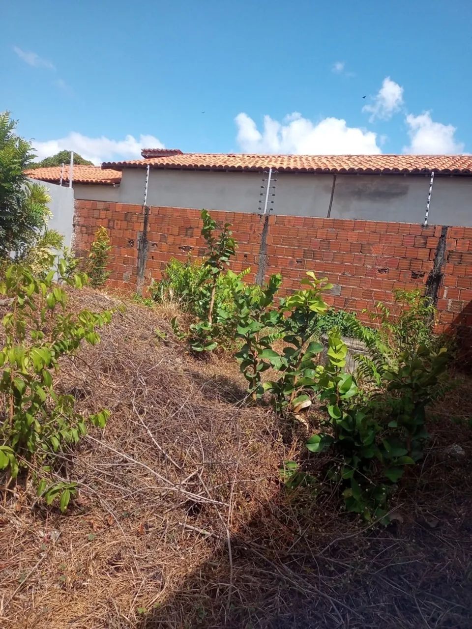 Vende-se Terreno plano  - Foto 3
