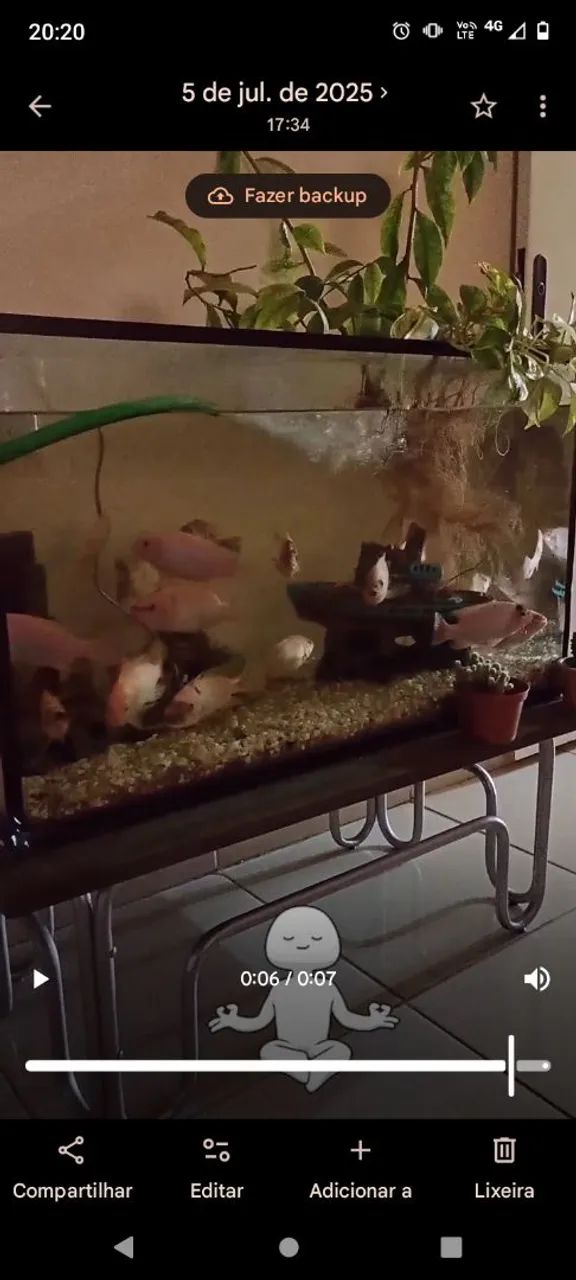 Aquário 200 litros 