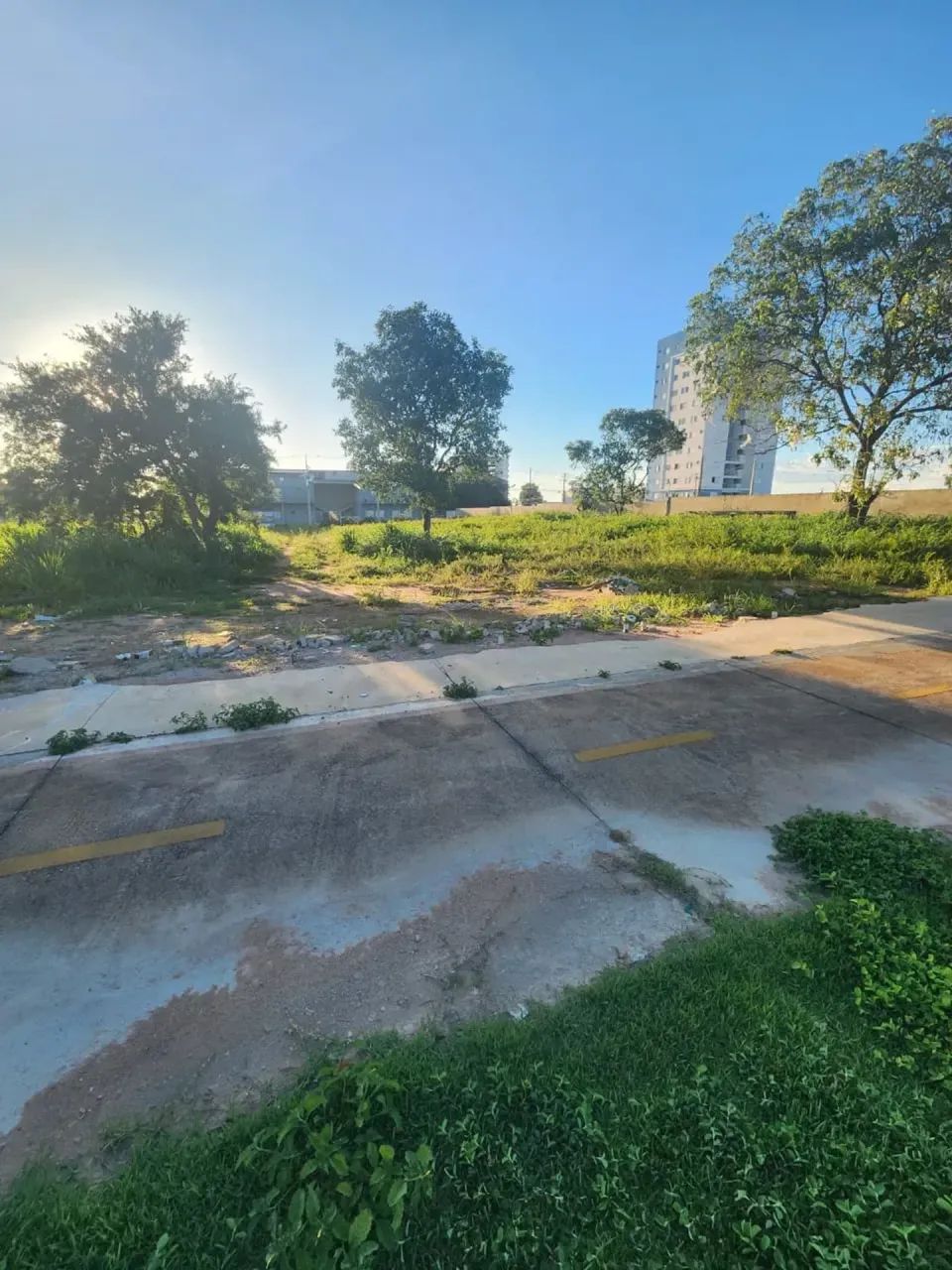 Vende-se Lote Comercial Orla 14 Praia da Graciosa - Foto 2