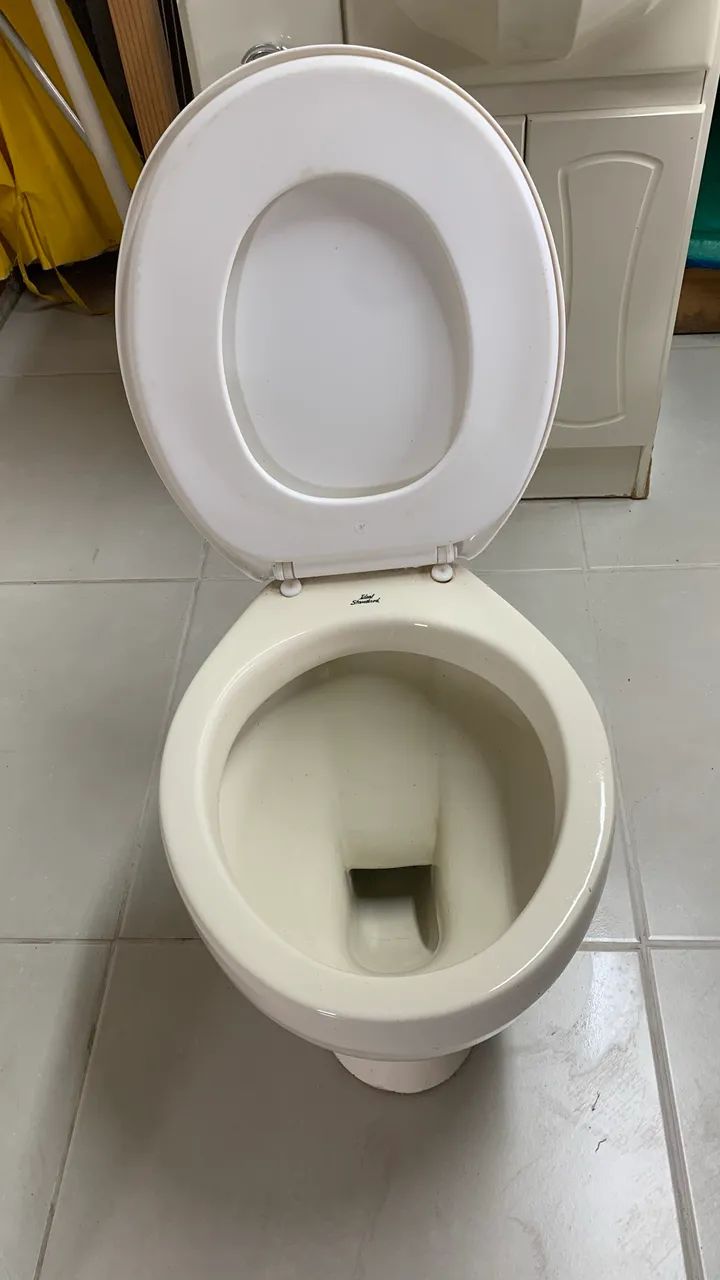 Vaso sanitário com assento e caixa