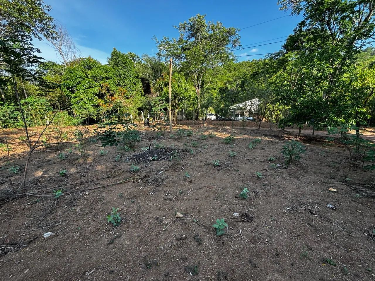 Chácara a venda  - Foto 4