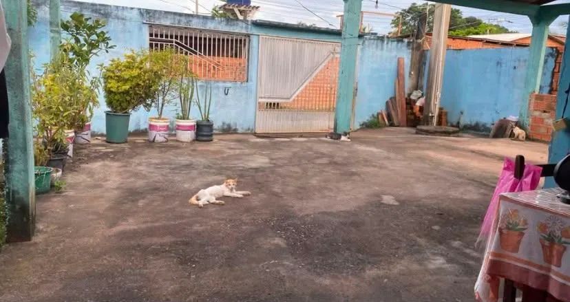 Vendo casa parque dos Buritis  - Foto 2