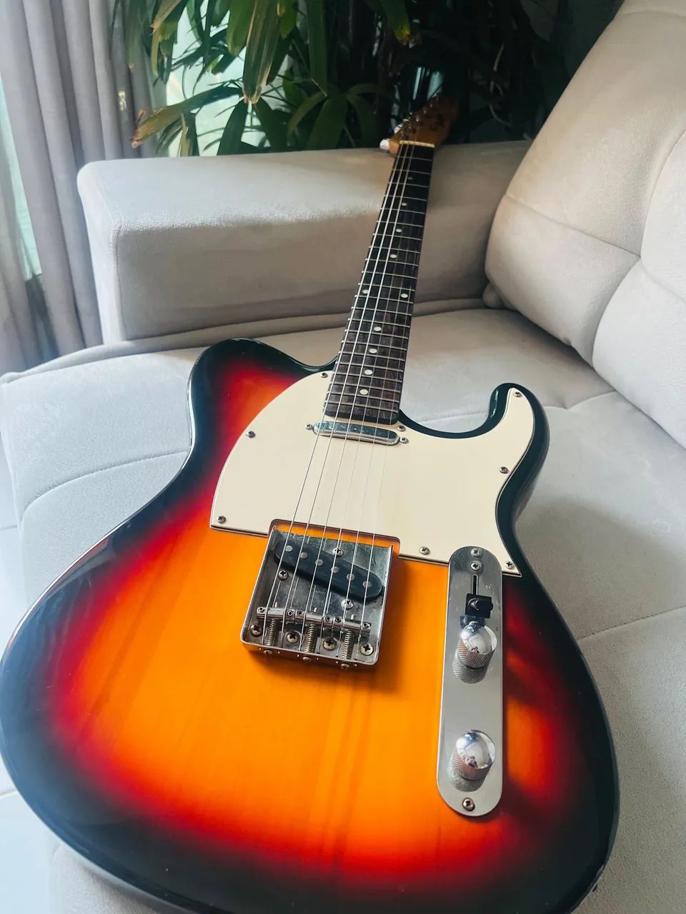 Guitarra Telecaster Tagima Memphis  - Foto 3