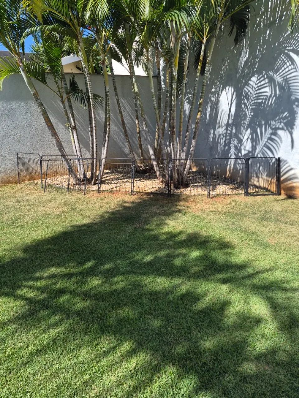 Cercado Grade Canil Pet (38 grades, 4 portões) - Foto 2