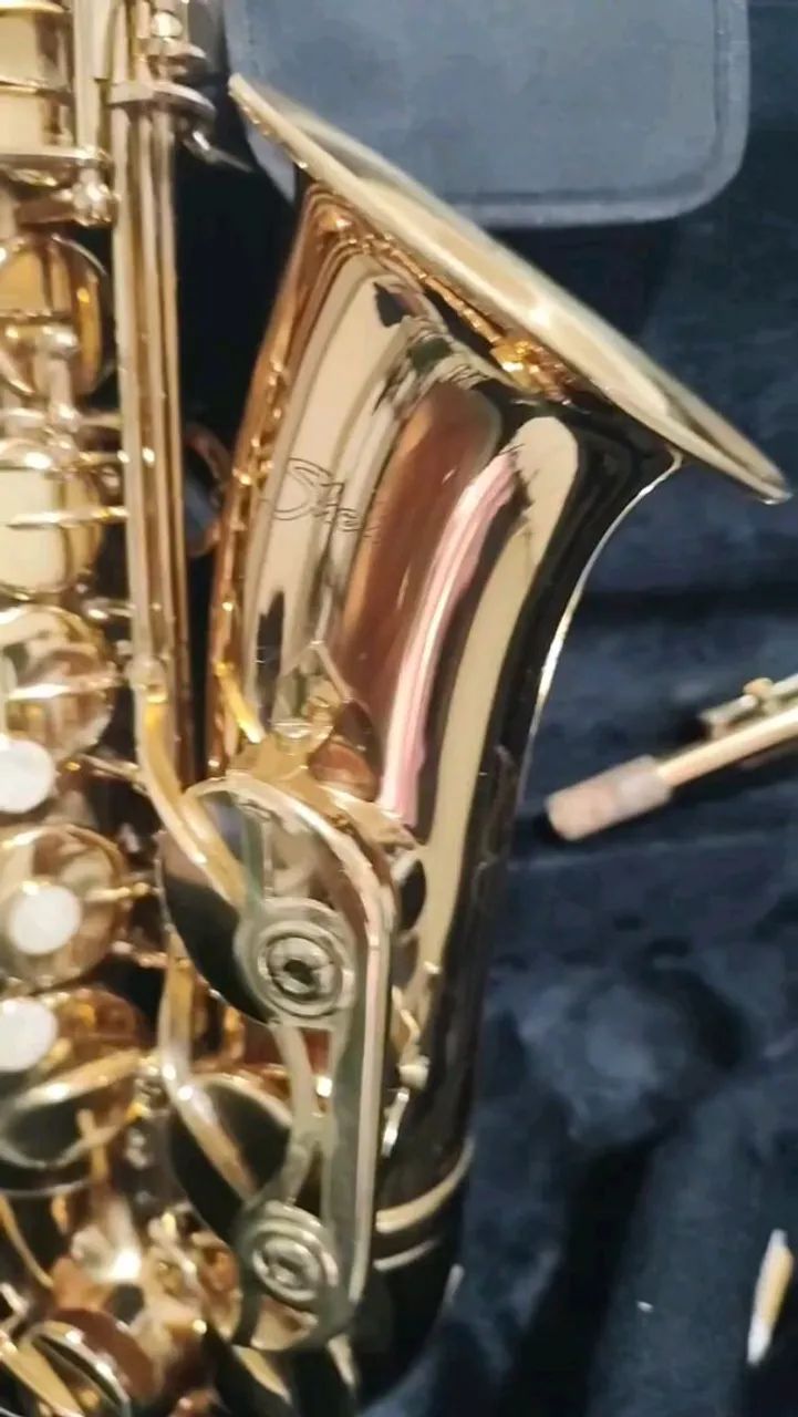 Sax alto Shelter  - Foto 2