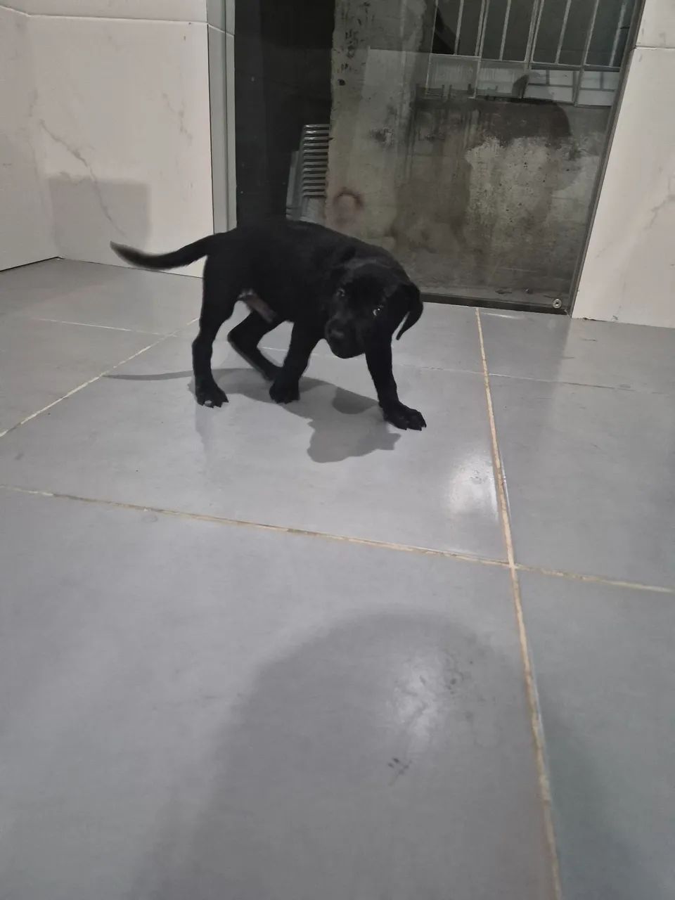 Doação  - Foto 5