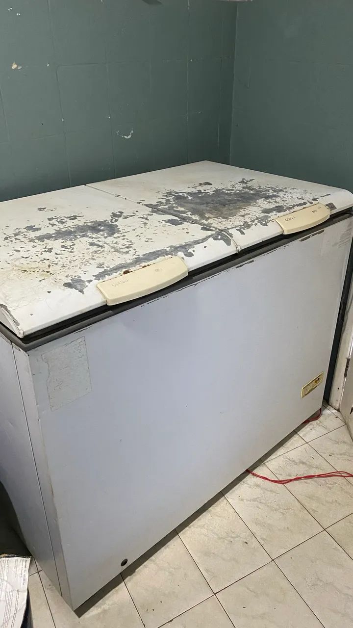 Freezer Horizontal Consul
