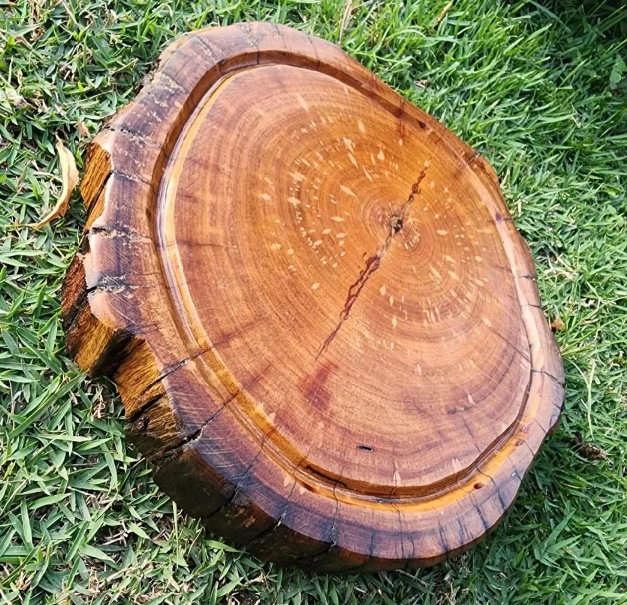 Tábuas 446519739805880320