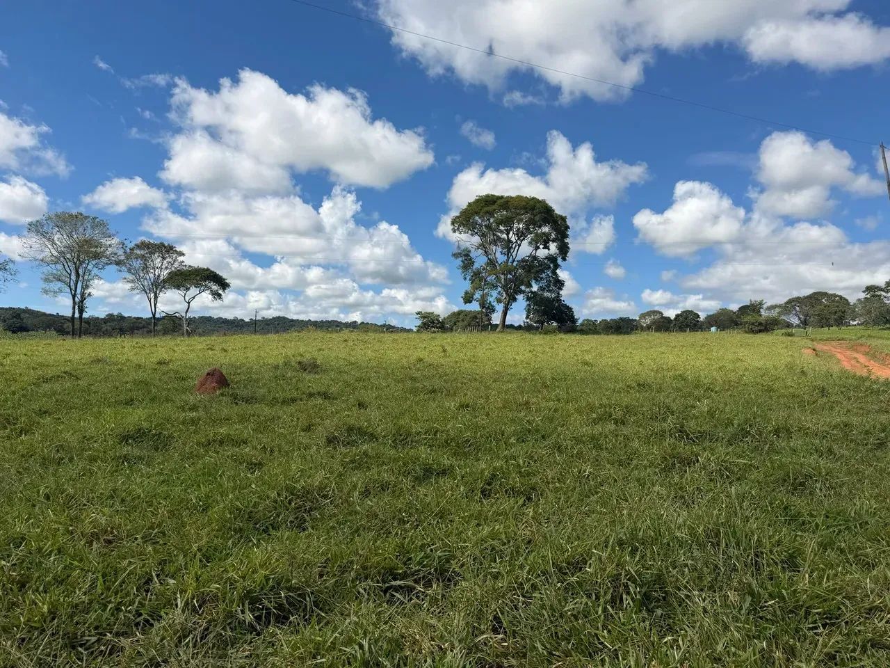 Chácara em Brazabrantes Go - 2.54 Alqueires - Foto 4