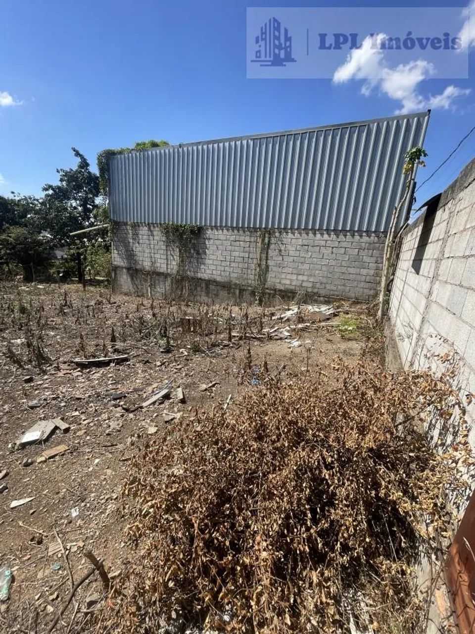 Lote para Venda em Sarzedo, Brasilia - Foto 4